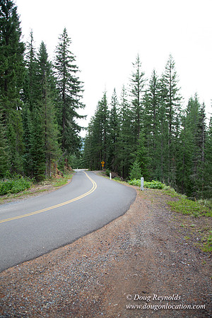 Road M384P