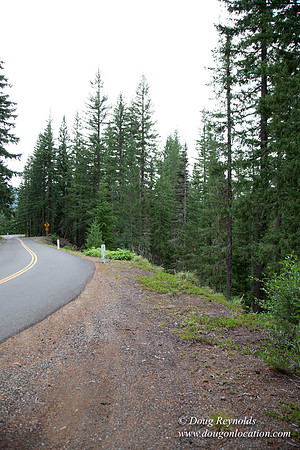 Road M384P