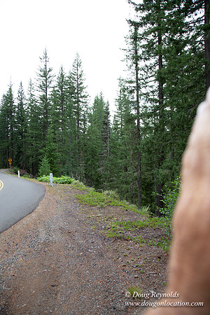 Road M384P