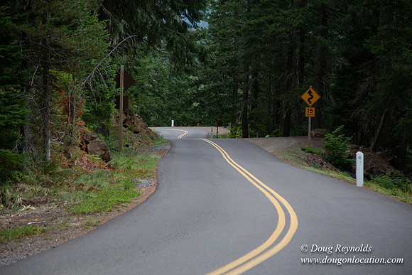 Road M384P