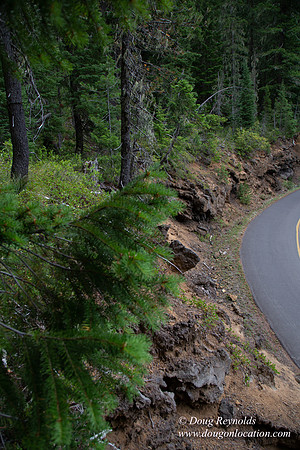Road M384P
