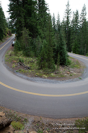 Road M384P