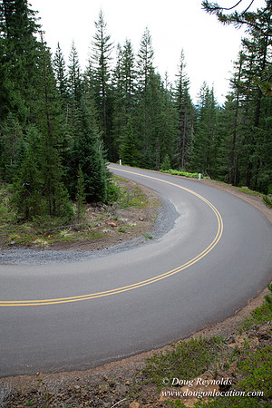 Road M384P
