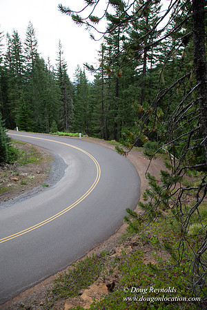 Road M384P