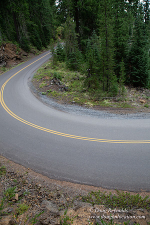 Road M384P