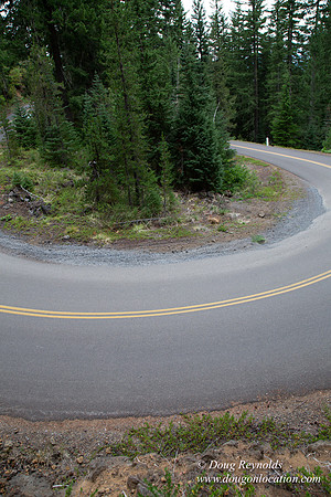 Road M384P