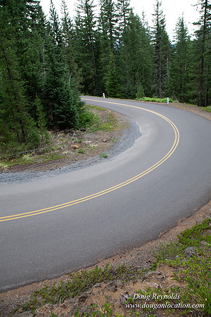 Road M384P