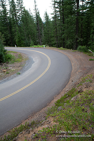 Road M384P