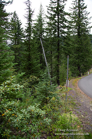 Road M384P