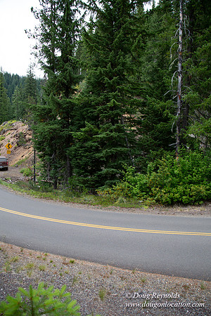 Road M384P