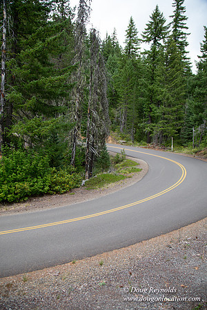 Road M384P