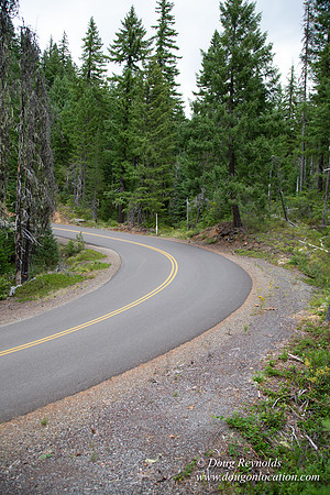 Road M384P