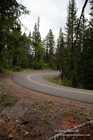 Road M384P