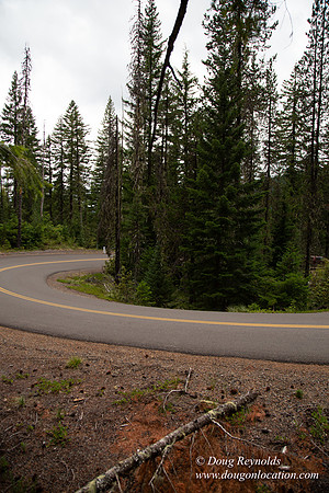 Road M384P
