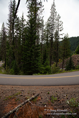 Road M384P
