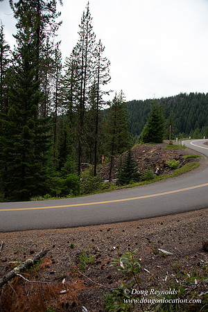Road M384P