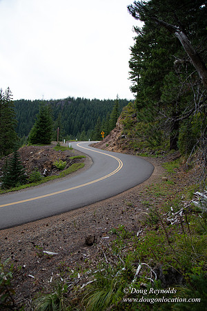 Road M384P