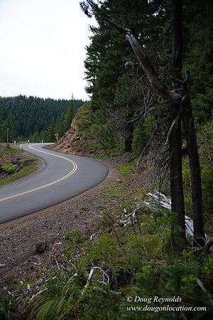 Road M384P