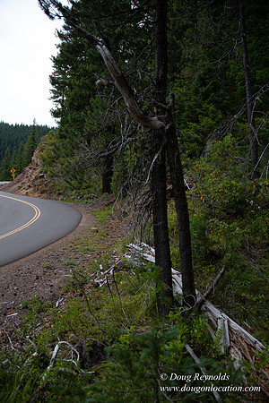 Road M384P