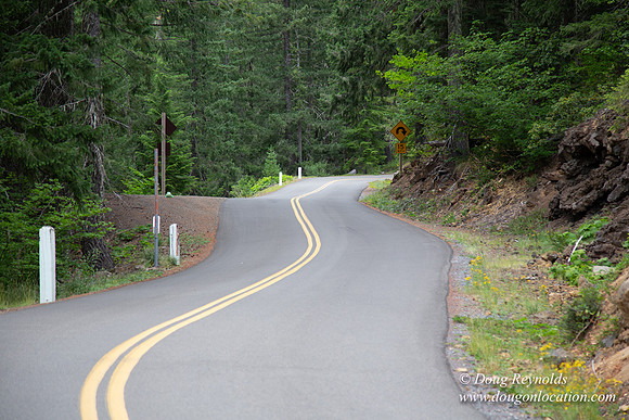 Road M384P