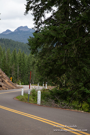 Road M384P