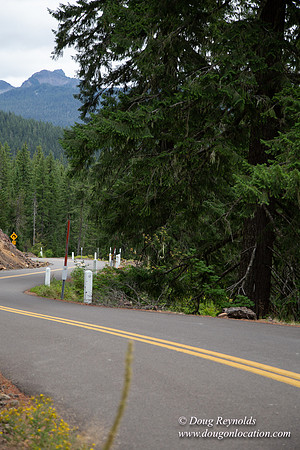 Road M384P