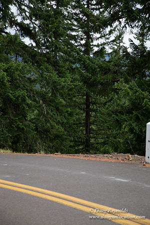 Road M384P