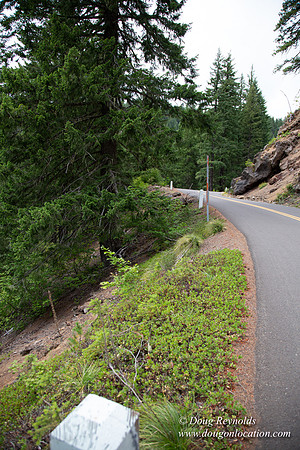Road M384P