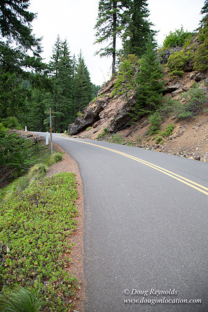 Road M384P
