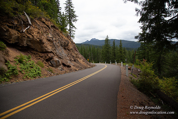 Road M384P