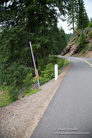 Road M384P