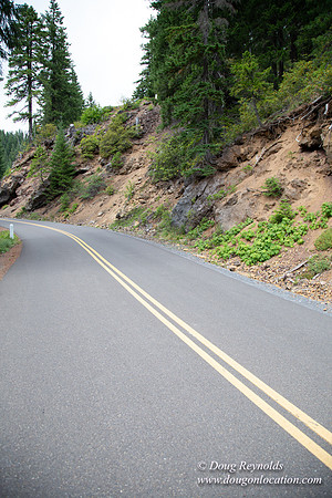 Road M384P