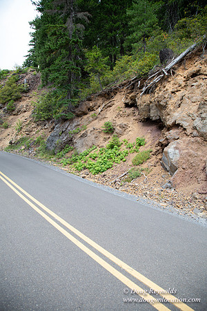 Road M384P