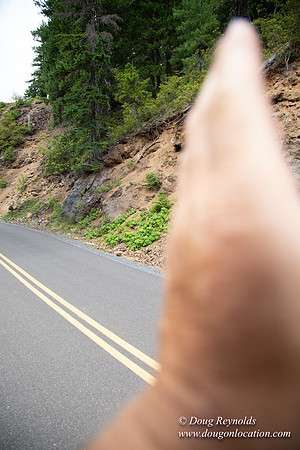 Road M384P