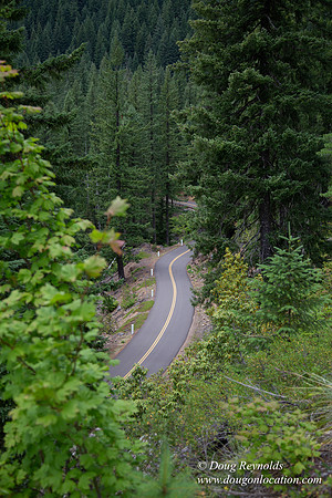 Road M384P