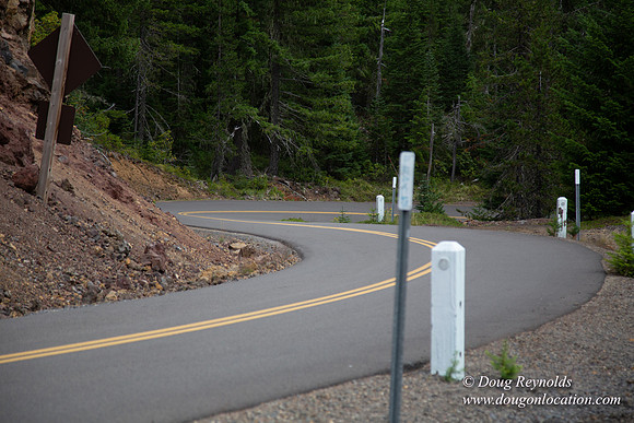 Road M384P