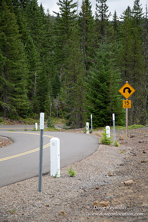 Road M384P