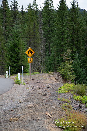 Road M384P