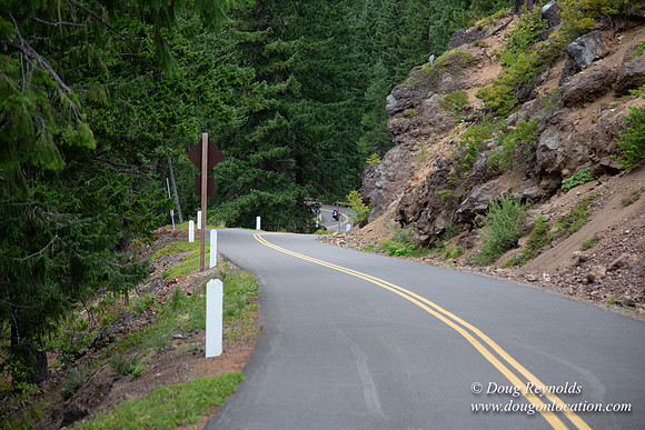 Road M384P