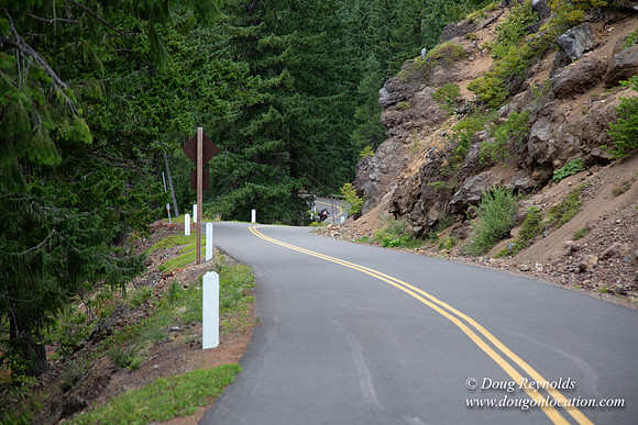 Road M384P