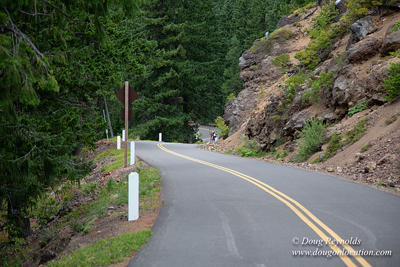 Road M384P