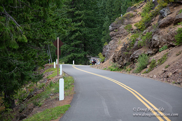 Road M384P