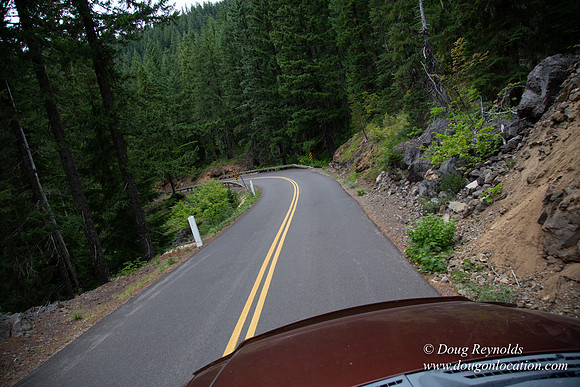 Road M384P