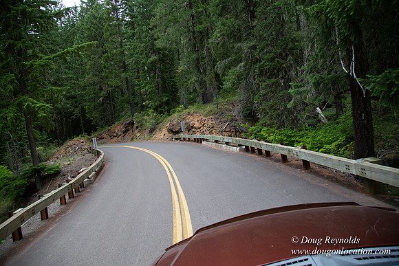 Road M384P