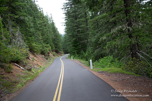 Road M384P
