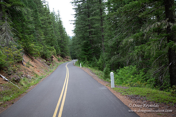 Road M384P