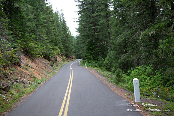 Road M384P