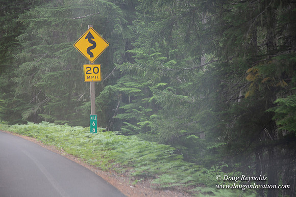 Road M384P