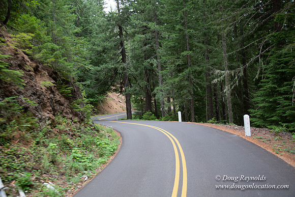 Road M384P