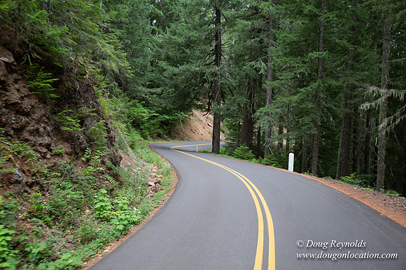 Road M384P